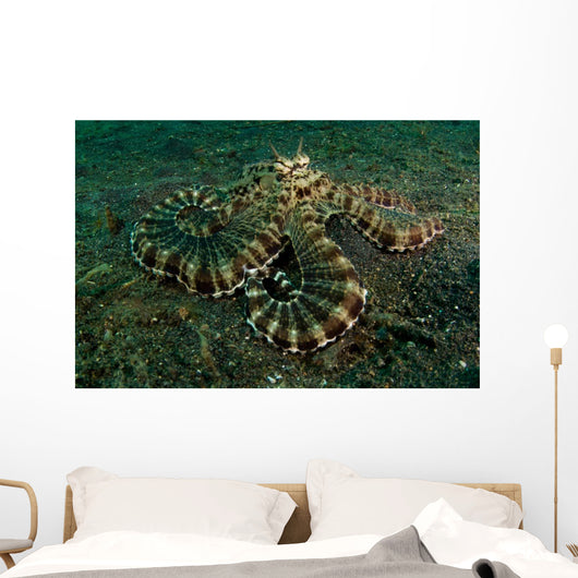 Mimic Octopus Lembeh Strait Wall Decal Design 1
