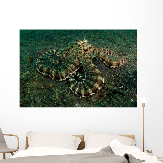 Mimic Octopus Lembeh Strait Wall Decal Design 1