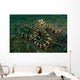 Mimic Octopus Lembeh Strait Wall Decal Design 1