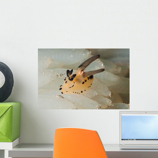 Pokemon Nudibranch Feeds Eggs Wall Decal