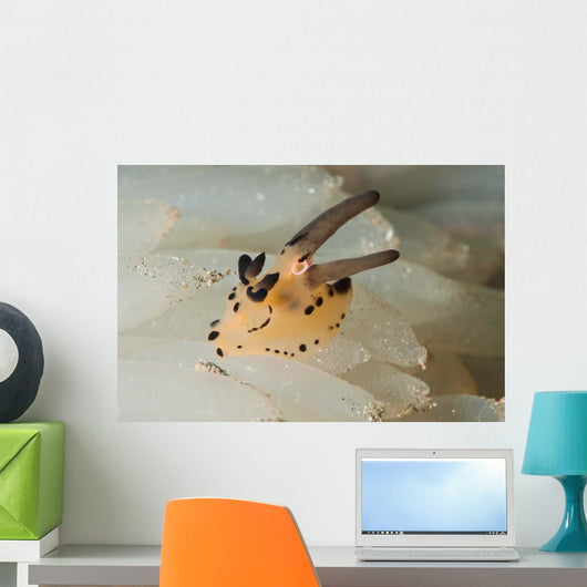Pokemon Nudibranch Feeds Eggs Wall Decal