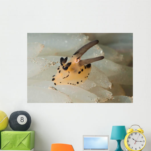 Pokemon Nudibranch Feeds Eggs Wall Decal