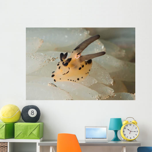 Pokemon Nudibranch Feeds Eggs Wall Decal