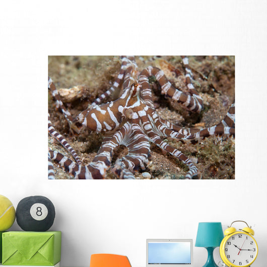 Wunderpus Octopus Sand Wall Decal