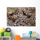 Wunderpus Octopus Sand Wall Decal