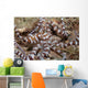 Wunderpus Octopus Sand Wall Decal