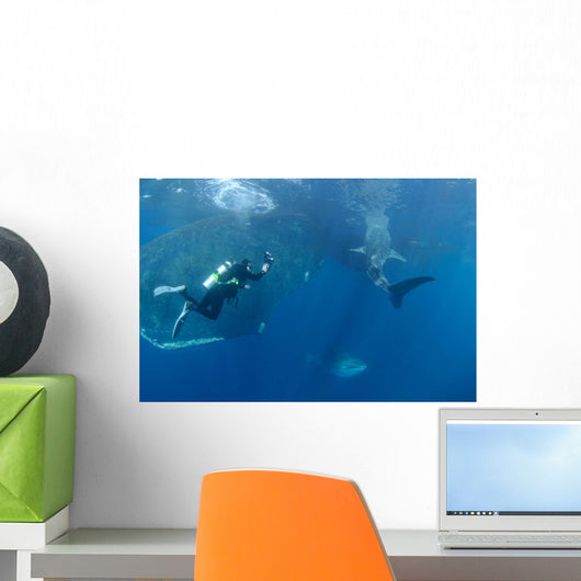 Diver Interacts with Whale Wall Decal Design 4