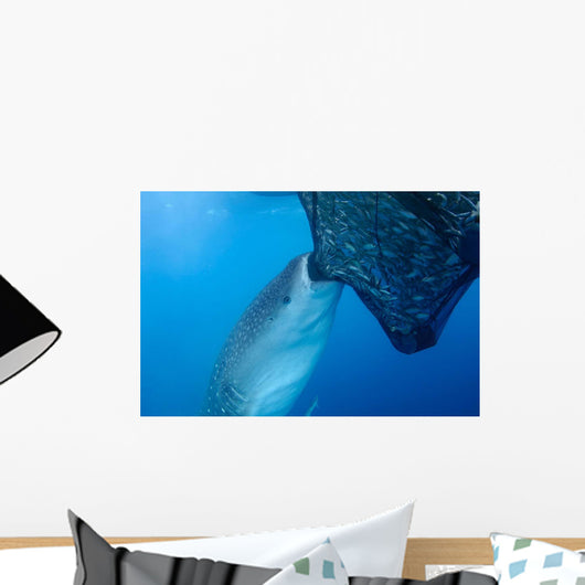 Whale Shark Sucks Net Wall Decal Design 3