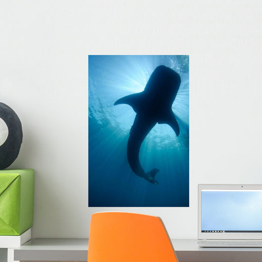 Whale Shark Silhouette Cenderawasih Wall Decal Design 1