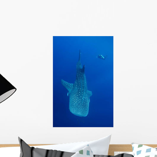 Diver Interacts with Whale Wall Decal Design 1