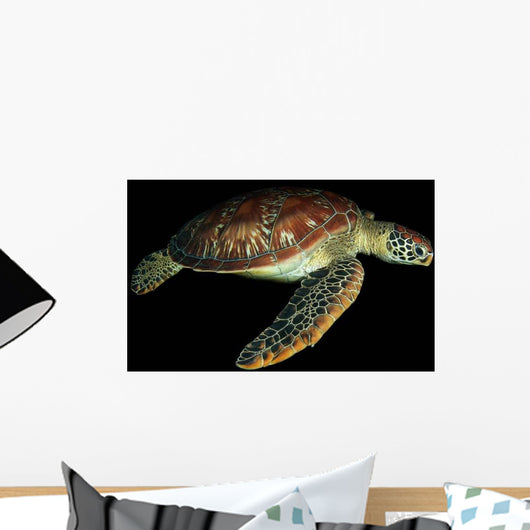 Green Sea Turtle Swimming Wall Decal Design 4