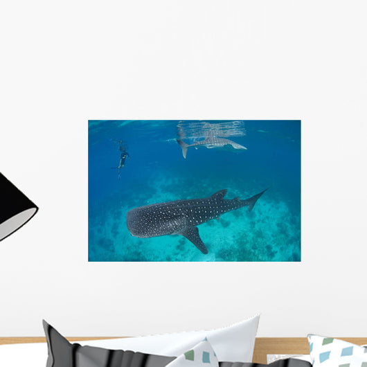 Tourist Enjoys Company Two Wall Decal