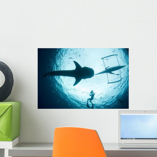 Underwater Photographer Enjoys Moment Wall Decal