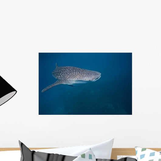 Whale Shark Swimming Blue Wall Decal Design 7