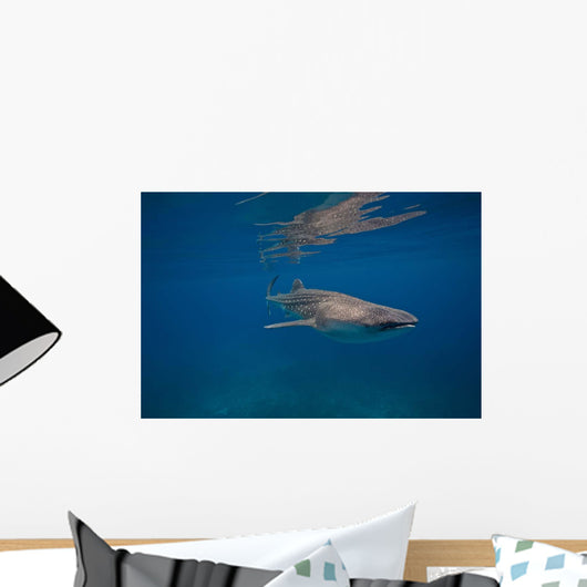 Whale Shark Swimming Blue Wall Decal Design 2