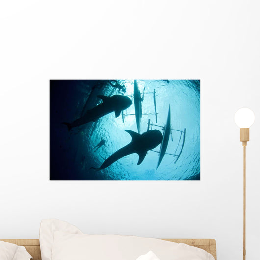 Whale Sharks Feeding beneath Wall Decal Design 1