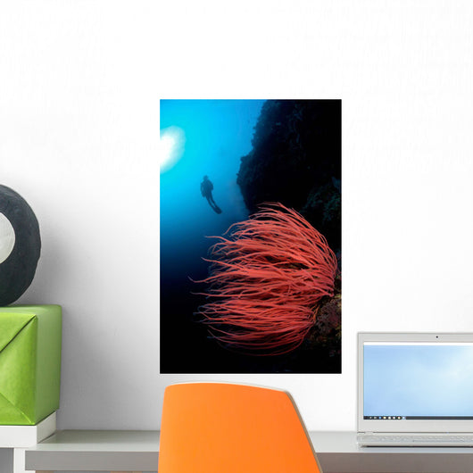 Diver and Corals Siaton Wall Decal