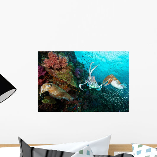 Pharaoh Cuttlefish Mating Behavior Wall Decal Design 2