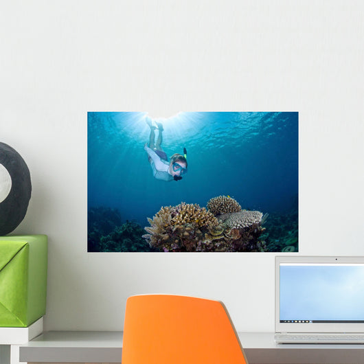 Snorkeler Explores Coral Reef Wall Decal Design 3