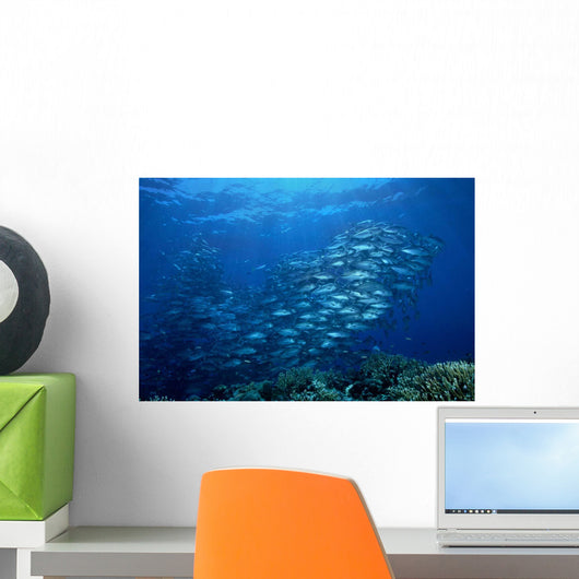 School Bigeye Trevally Solomon Wall Decal
