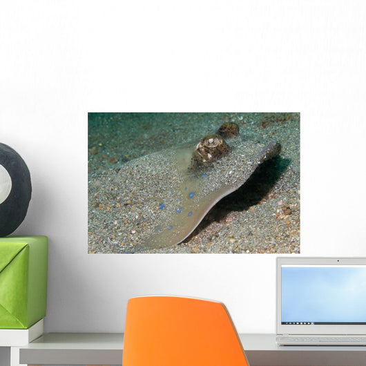 Blue-spotted Ribbontail Ray Partly Wall Decal