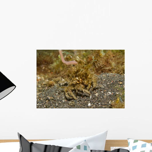 Decorator Crab Covered Debris Wall Decal