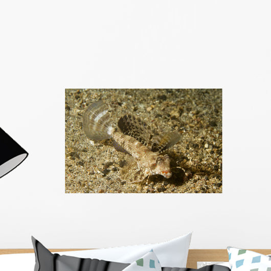 Fingered Dragonet Female Ocean Wall Decal