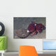 Coconut Octopus Sits Coconut Wall Decal