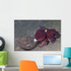 Coconut Octopus Sits Coconut Wall Decal
