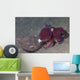 Coconut Octopus Sits Coconut Wall Decal