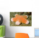 Granular Sea Star Choriaster Wall Decal