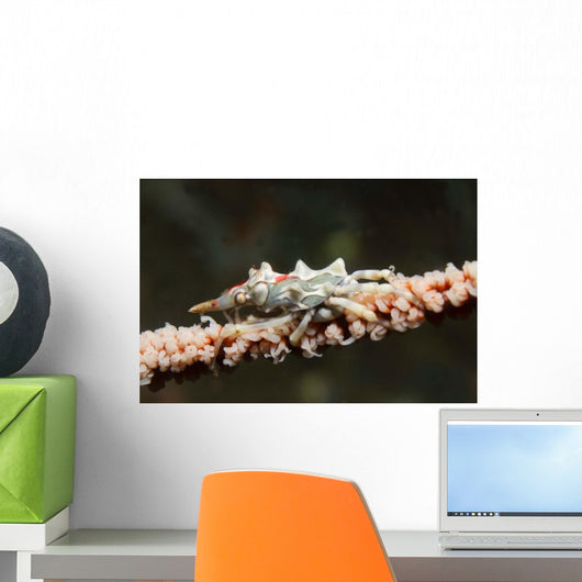 Wire Coral Crab Black Wall Decal