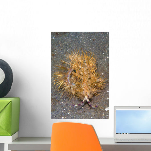 Blue Dragon Nudibranch Pteraeolidia Wall Decal