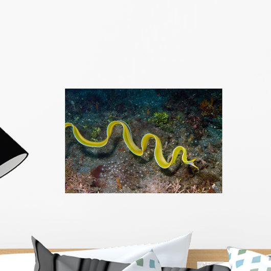 Free Swimming Female Ribbon Wall Decal