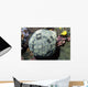 Cushion Star Culcita Novaeguieae Wall Decal