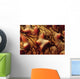Close-up Tubercles Sea Stars Wall Decal