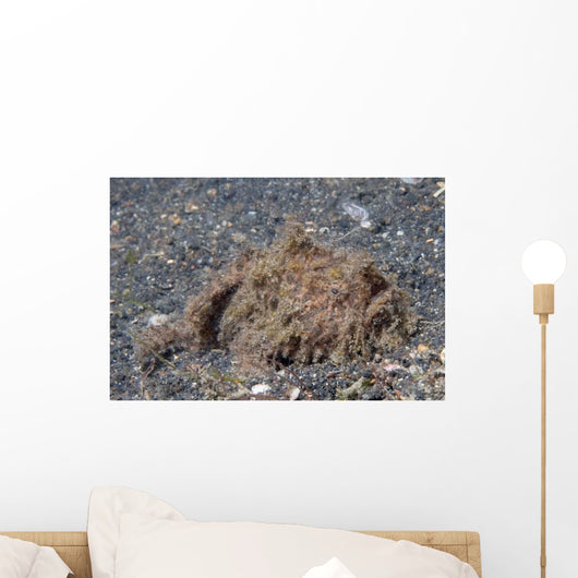 Freckled Frogfish Covered with Wall Decal
