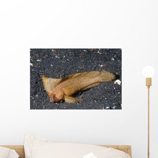 Spiny Waspfish Ocean Bottom Wall Decal
