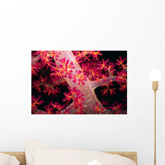 Close-up Soft Coral with Wall Decal