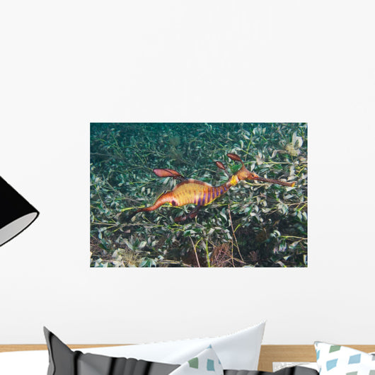 Weedy Seadragon Foraging for Wall Decal Design 2
