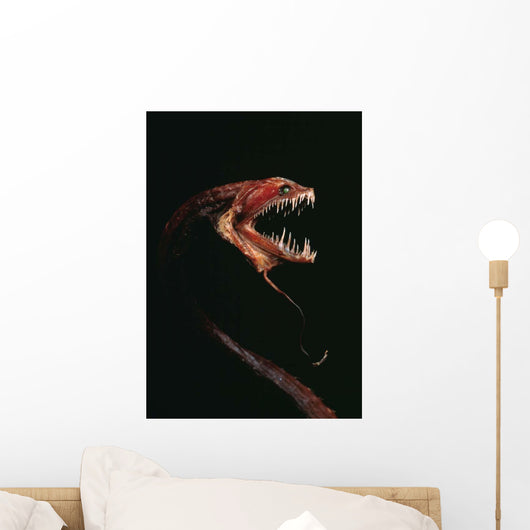 Pacific Blackdragon Showing Luminescent Wall Decal