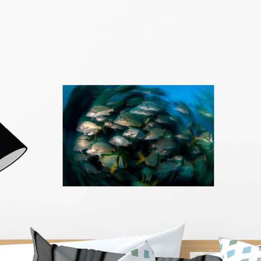 Schooling Porkfish White Margate Wall Decal Design 2
