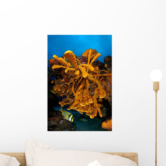 Reefscape Full Sea Sponges Wall Decal