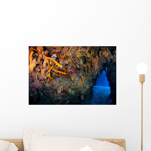 Reefscape Full Gorgonians and Wall Decal