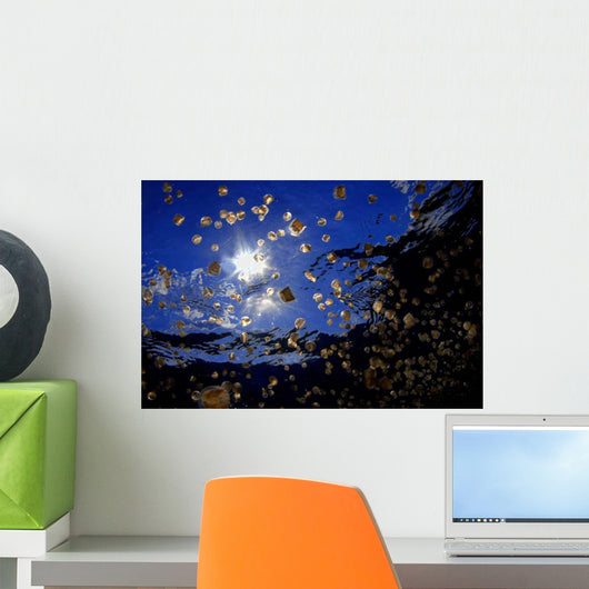 Swarm Sea Thimble Jellyfish Wall Decal Design 2