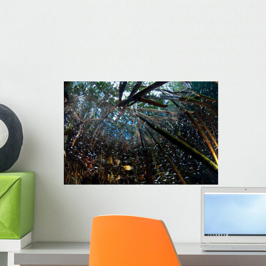 Mangrove Roots Full Life Wall Decal Design 1