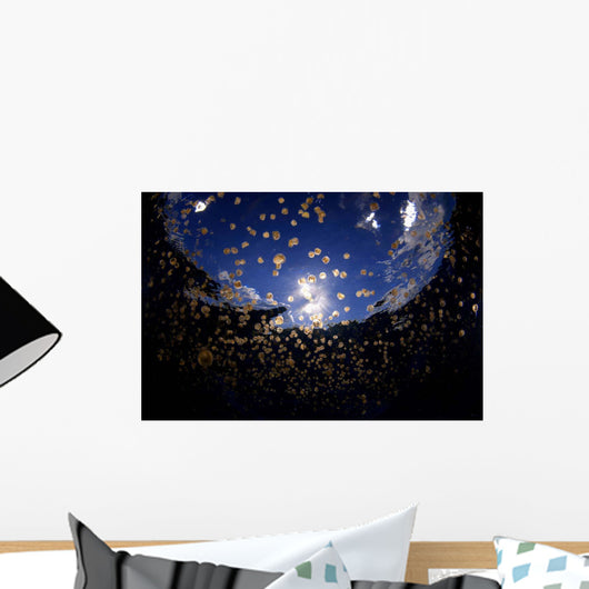 Swarm Sea Thimble Jellyfish Wall Decal Design 1