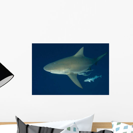Bull Shark Their Annual Wall Decal