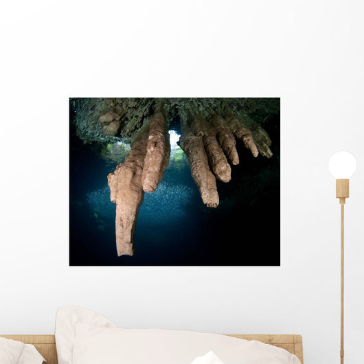 Surface Cenote 7 Bocas Wall Decal