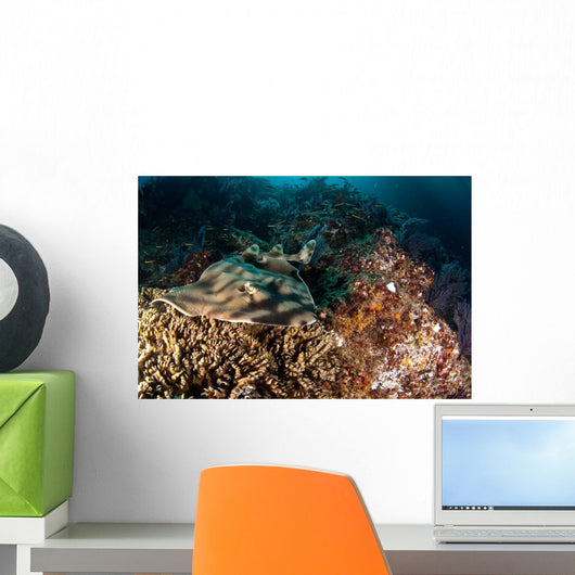 Banded Guitarfish Zapteryx Exasperata Wall Decal Design 1